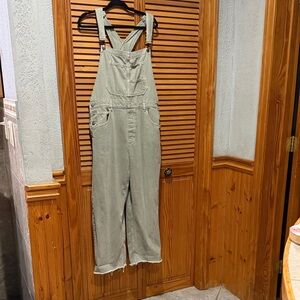 We The Free Light Olive Denim Overalls